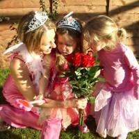 princess-fairy-parties-10