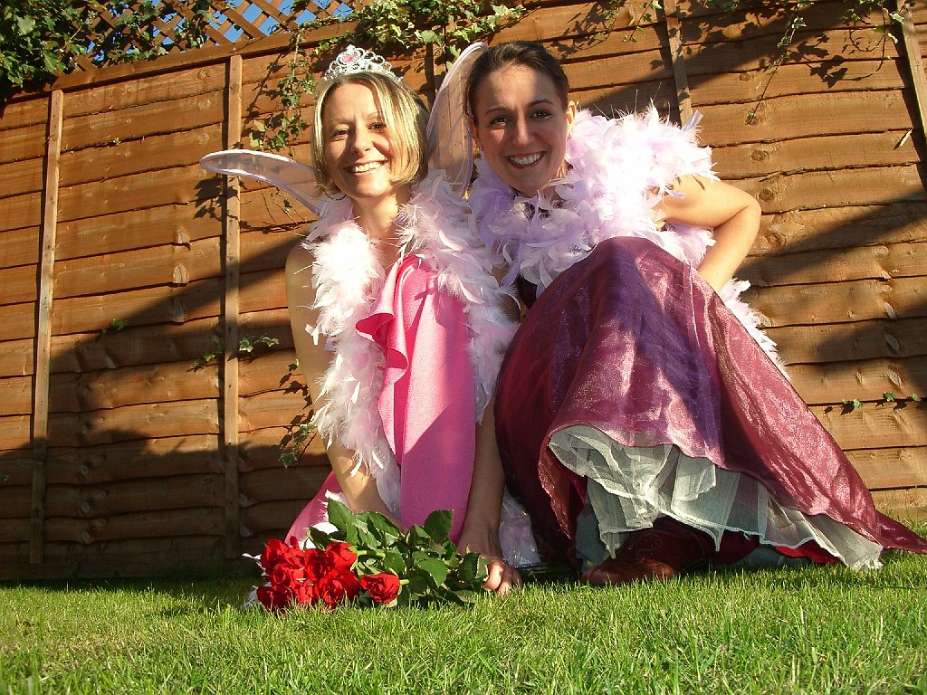 Princess Fairy party theme