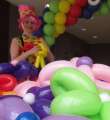 Balloon Modelling Training Course Link