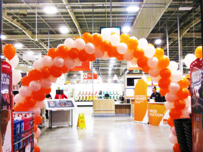 Balloon Arch 8