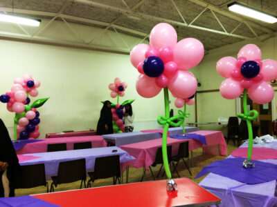 Balloon Creations 20