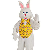 Easter Bunny party theme