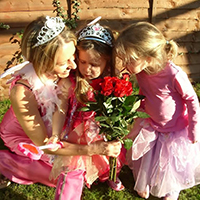 Princess and Fairy party theme