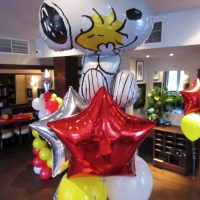 themed-balloons-gallery-7