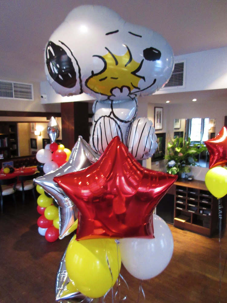 Themed Balloons 7